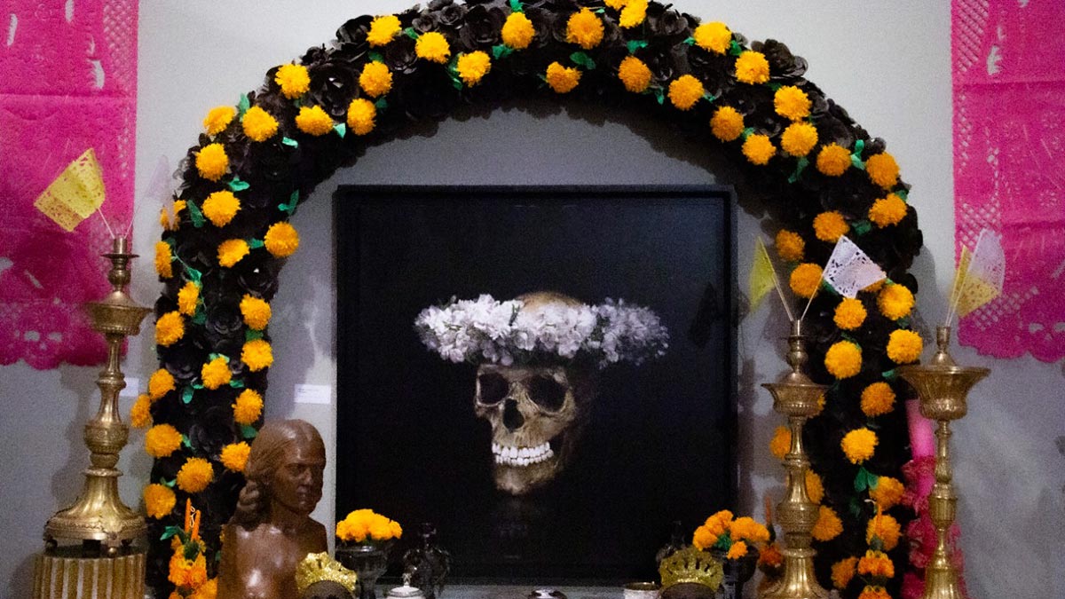 Así celebrarán los museos de Querétaro el Día de Muertos 2022 - Tiempo  Libre Querétaro - Próximos eventos