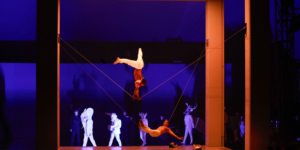 cirque du soleil